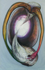 75